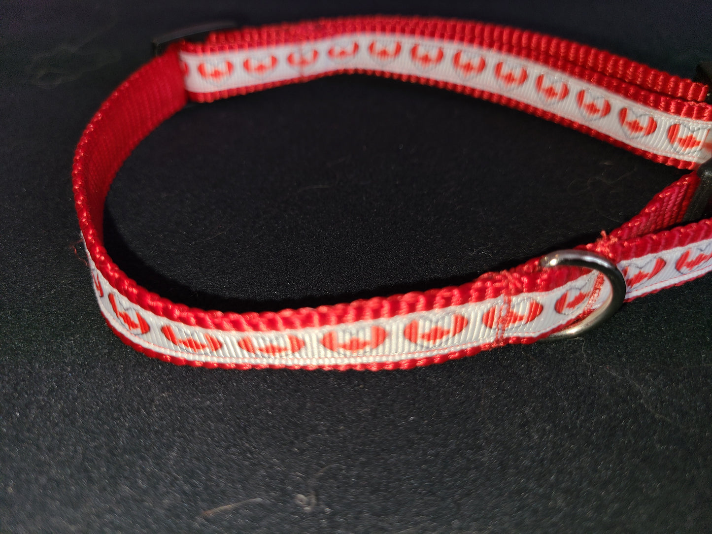Dog Collar