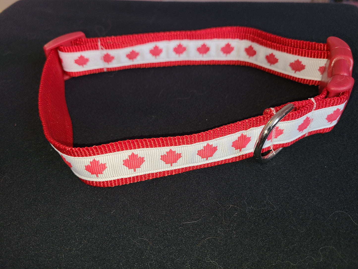 Dog Collar