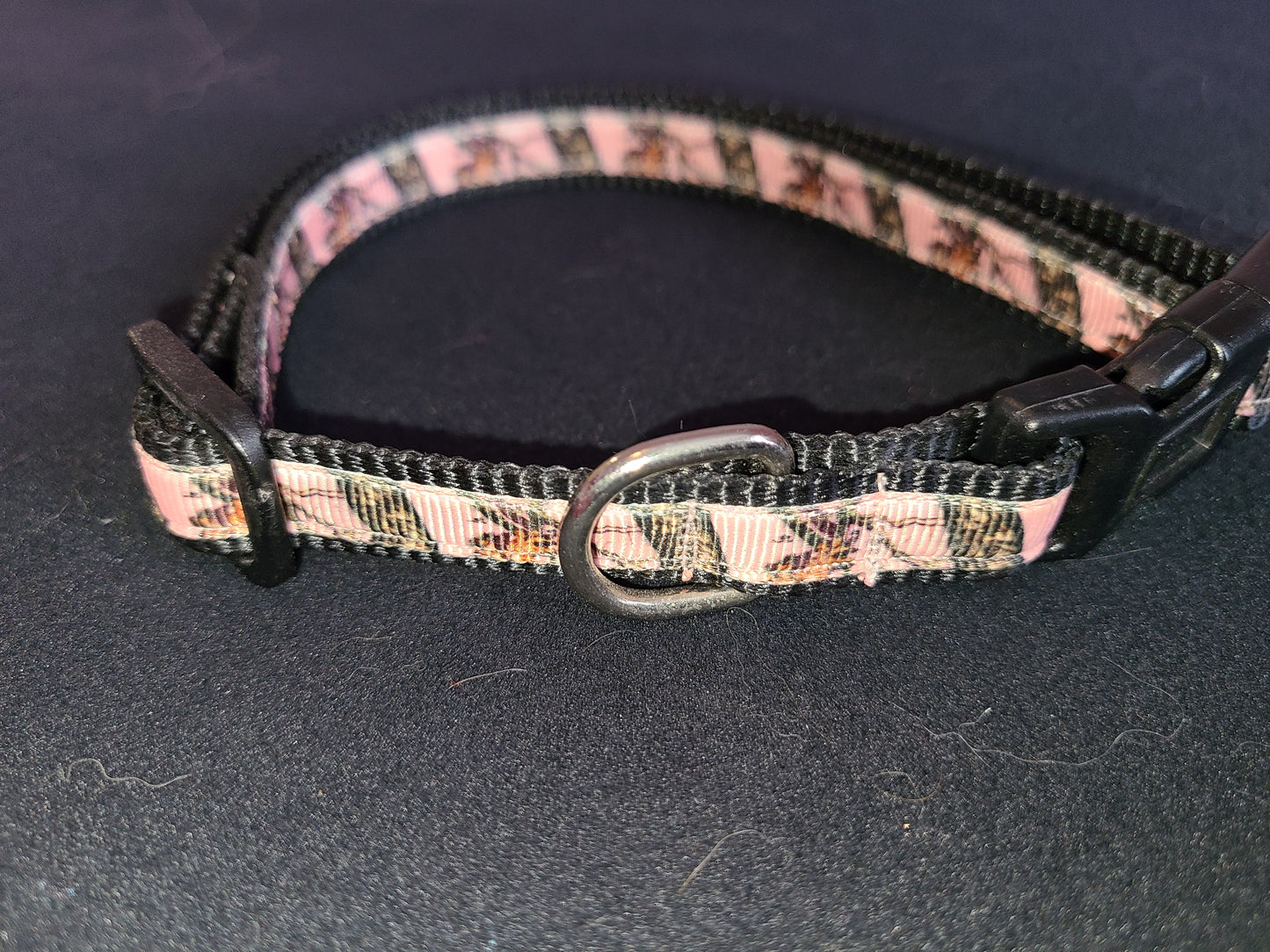 Dog Collar