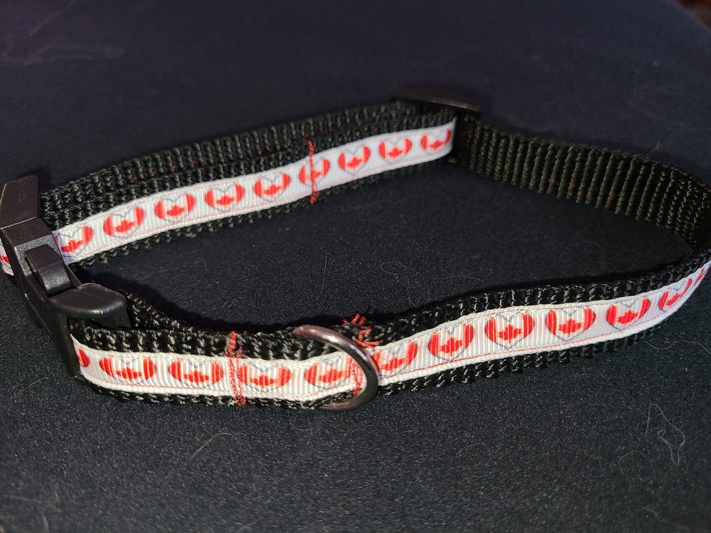 Dog Collar
