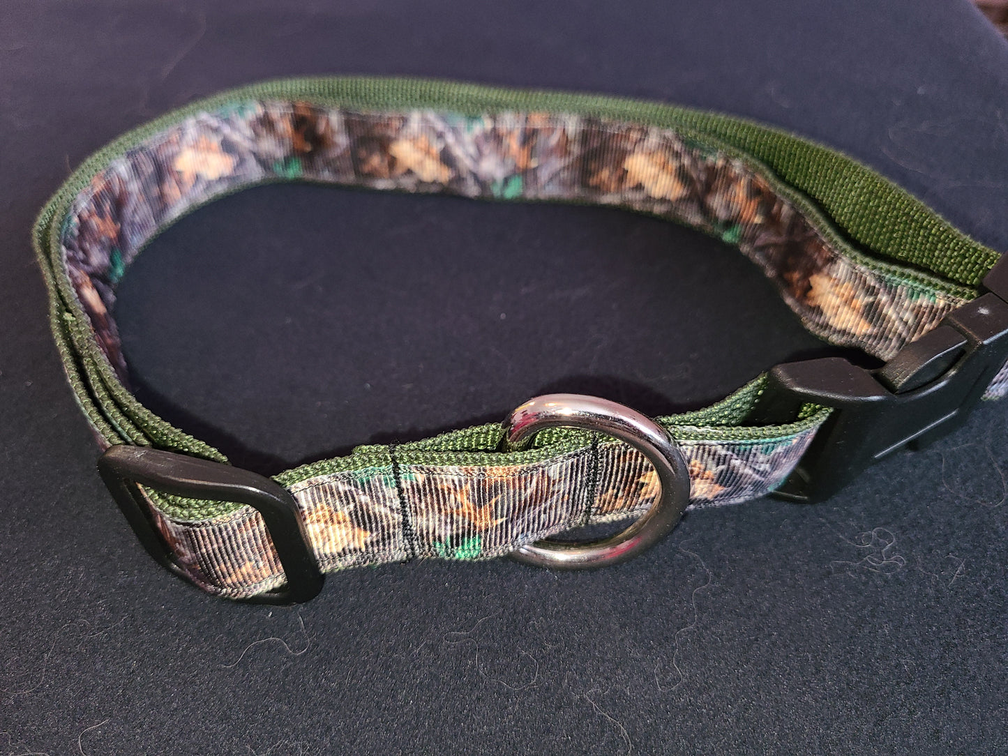 Dog Collar